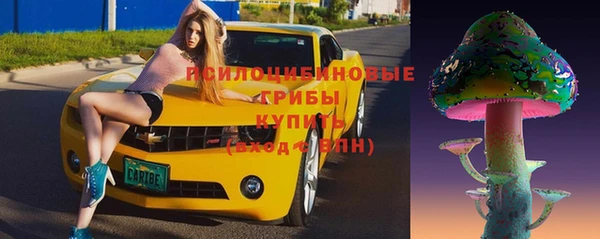 PSILOCYBIN Алексин