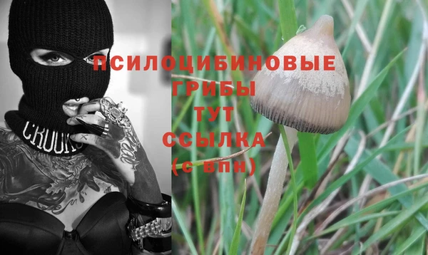 PSILOCYBIN Алексин
