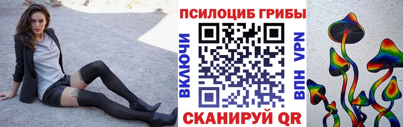 shop состав Сусуман Галлюциногенные грибы Magic Shrooms купить цена